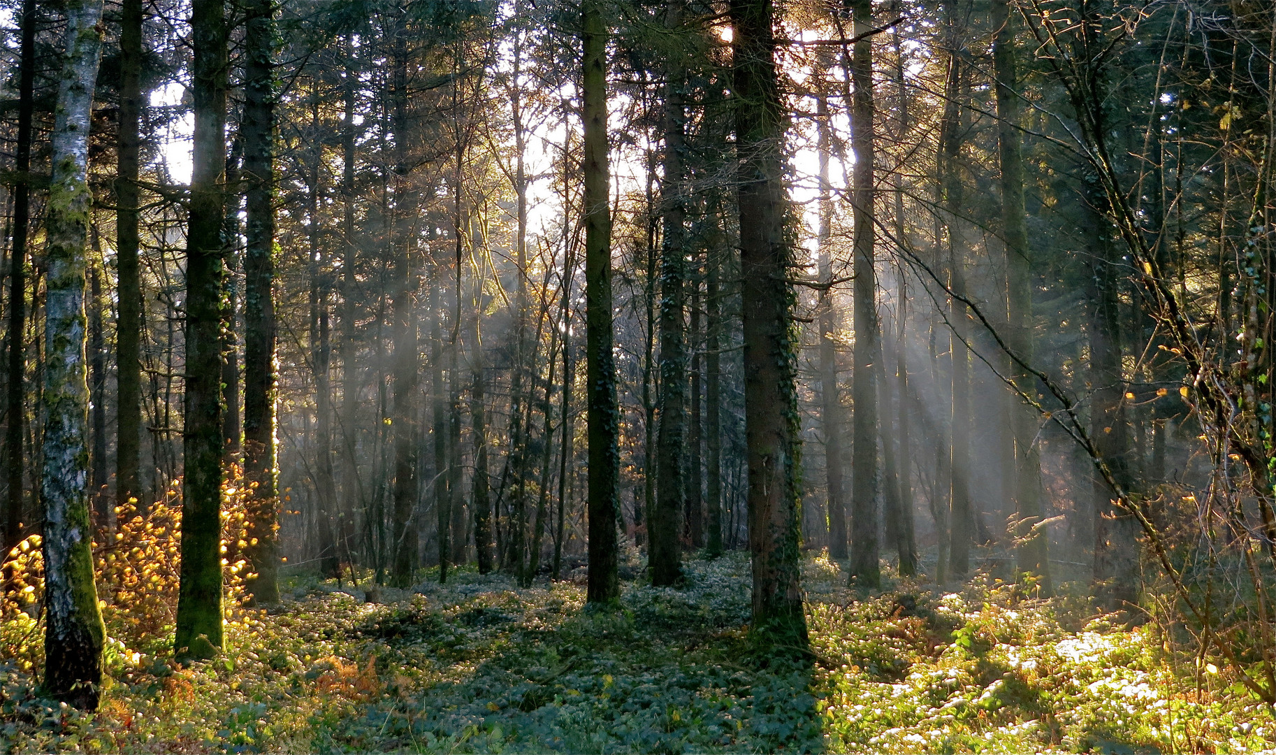 ...la soleil aprés midi ..!!!...