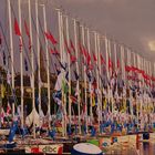 La solitaire du Figaro