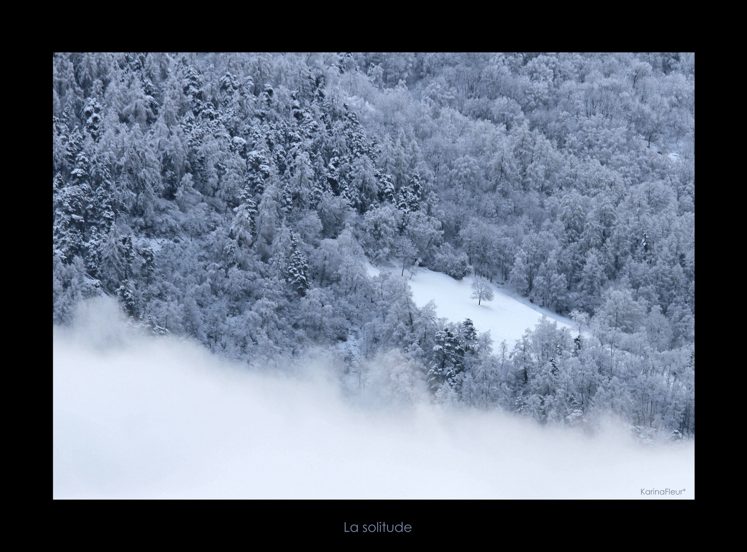 La solitude