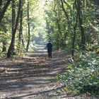 ...La solitude ça existe...