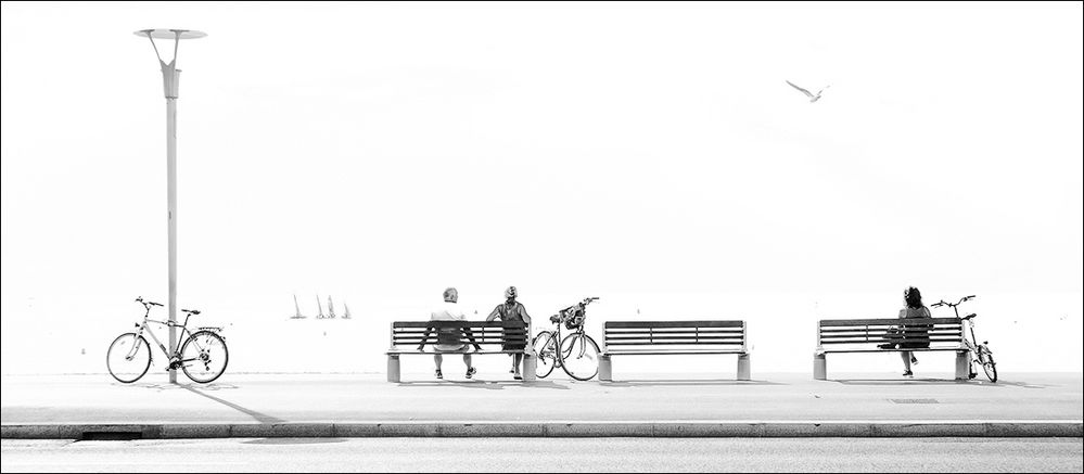 La solitude des vélos 