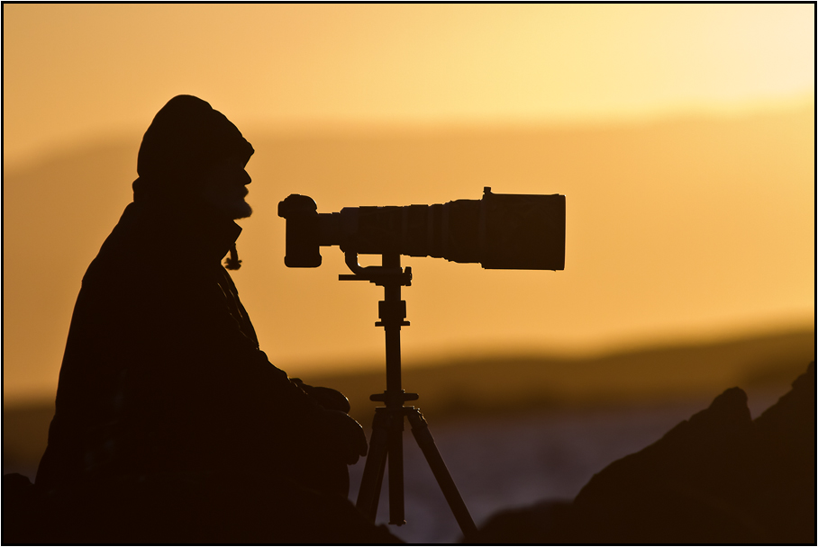 La solitude du photographe animalier