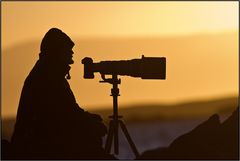 La solitude du photographe animalier