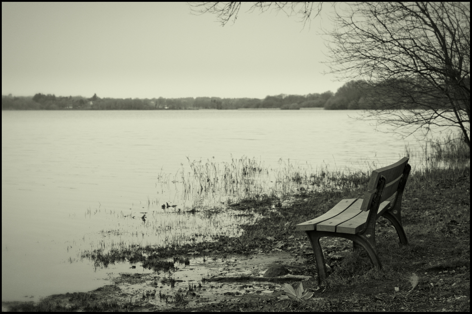 La solitude est une patrie peuplée du souvenir des autres. Y penser console de l'absence.