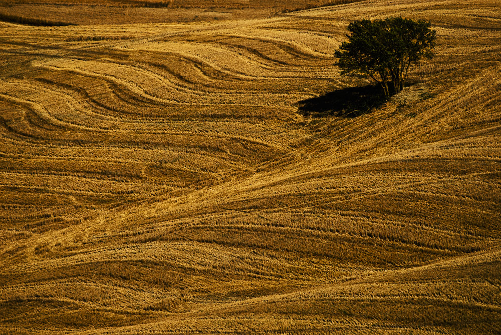 La Solitudine