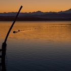 La solitudine del molo abbandonato ... The solitude of the abandoned pier ...