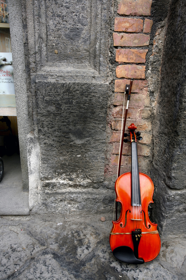 La solitudine del violino