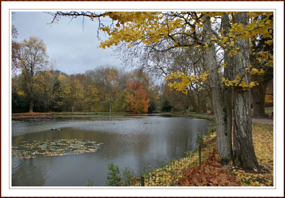 la Sologne et ses couleurs