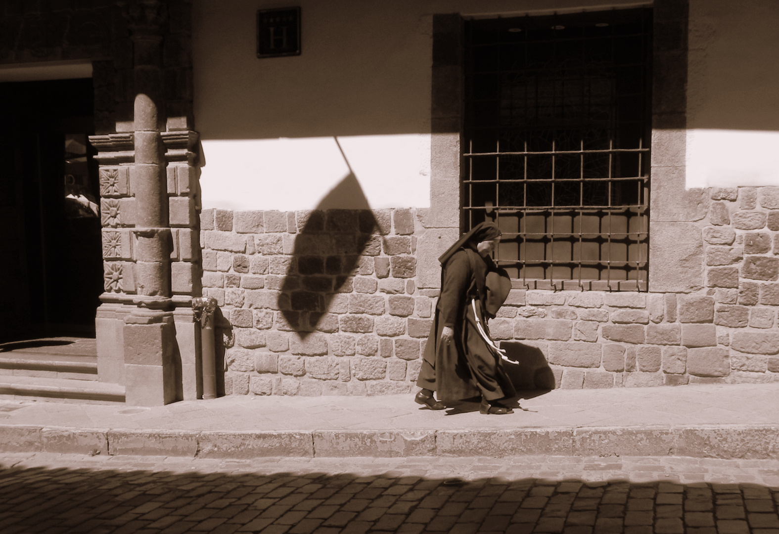 LA SOMBRA DE LA BANDERA