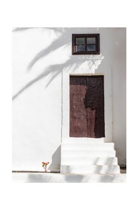 LA SOMBRA DE LA PALMERA