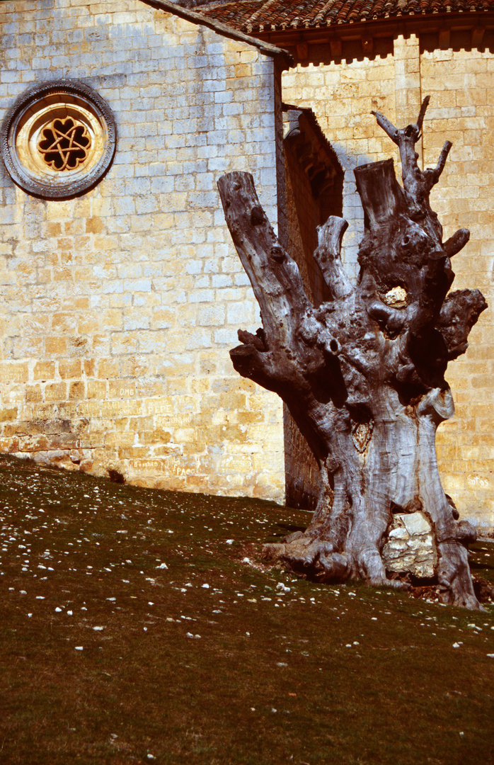 La Soria Frühjahr 2009