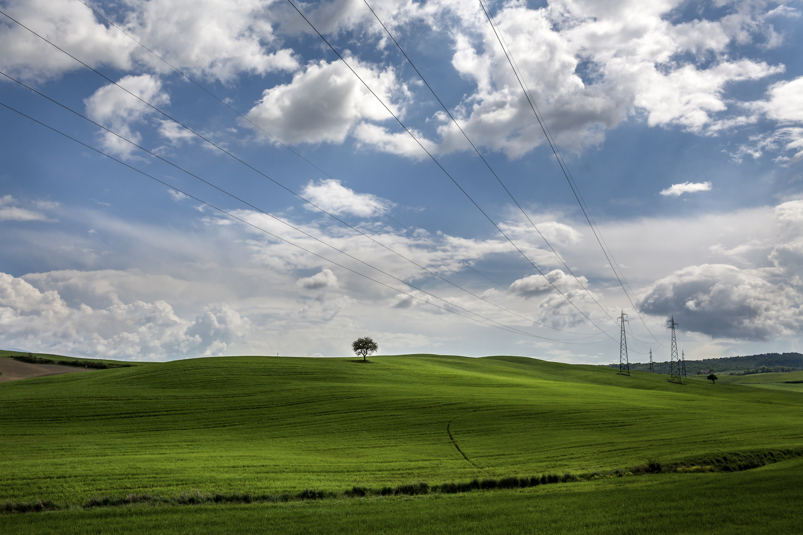 La sottile linea verde