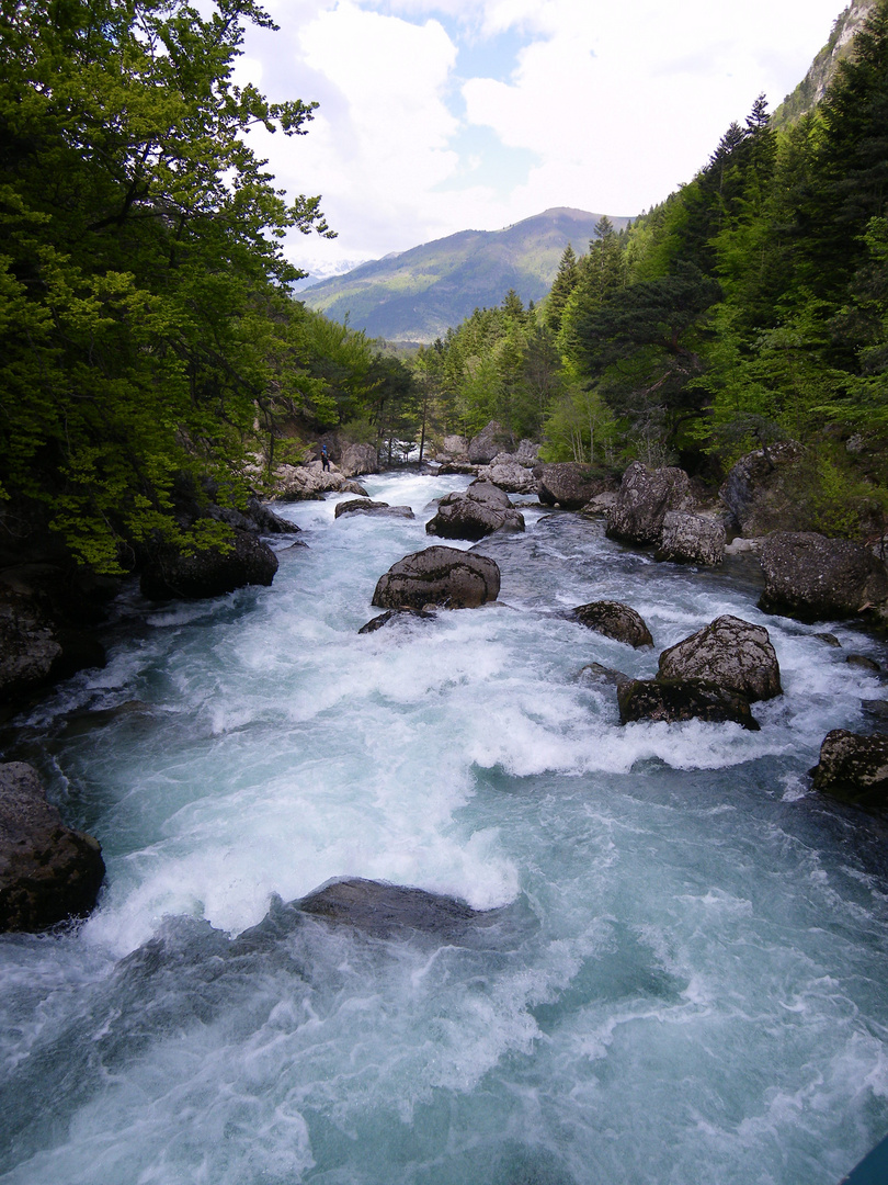 La Souloise après les sources des Gillardes