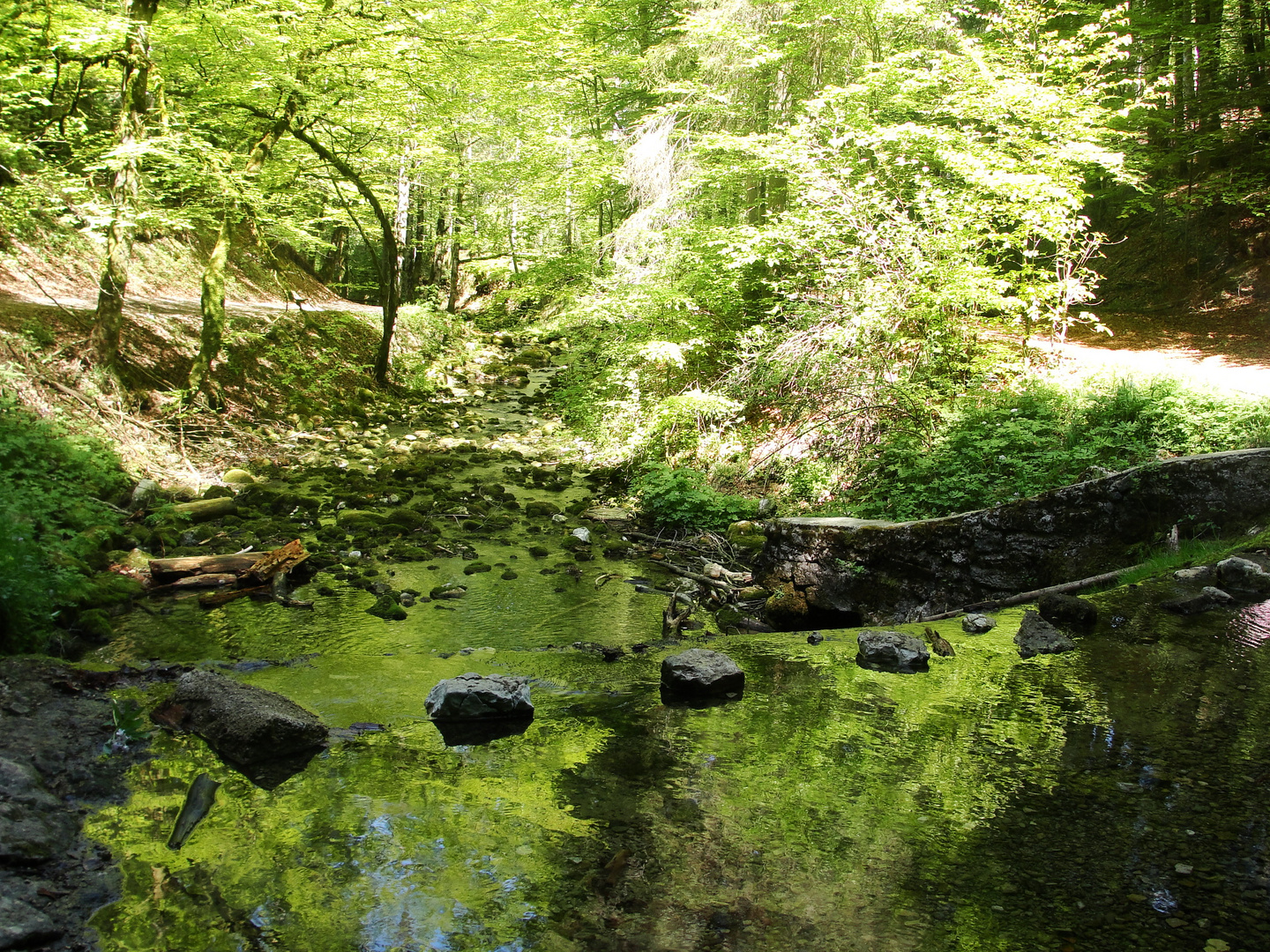 La Source Bleue (Doubs) : toutes les larmes de Berthe