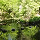 La Source Bleue (Doubs) : toutes les larmes de Berthe