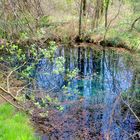 La source des Gours Bénis ....