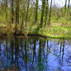 La source des Gours Bénis, Bras, 83