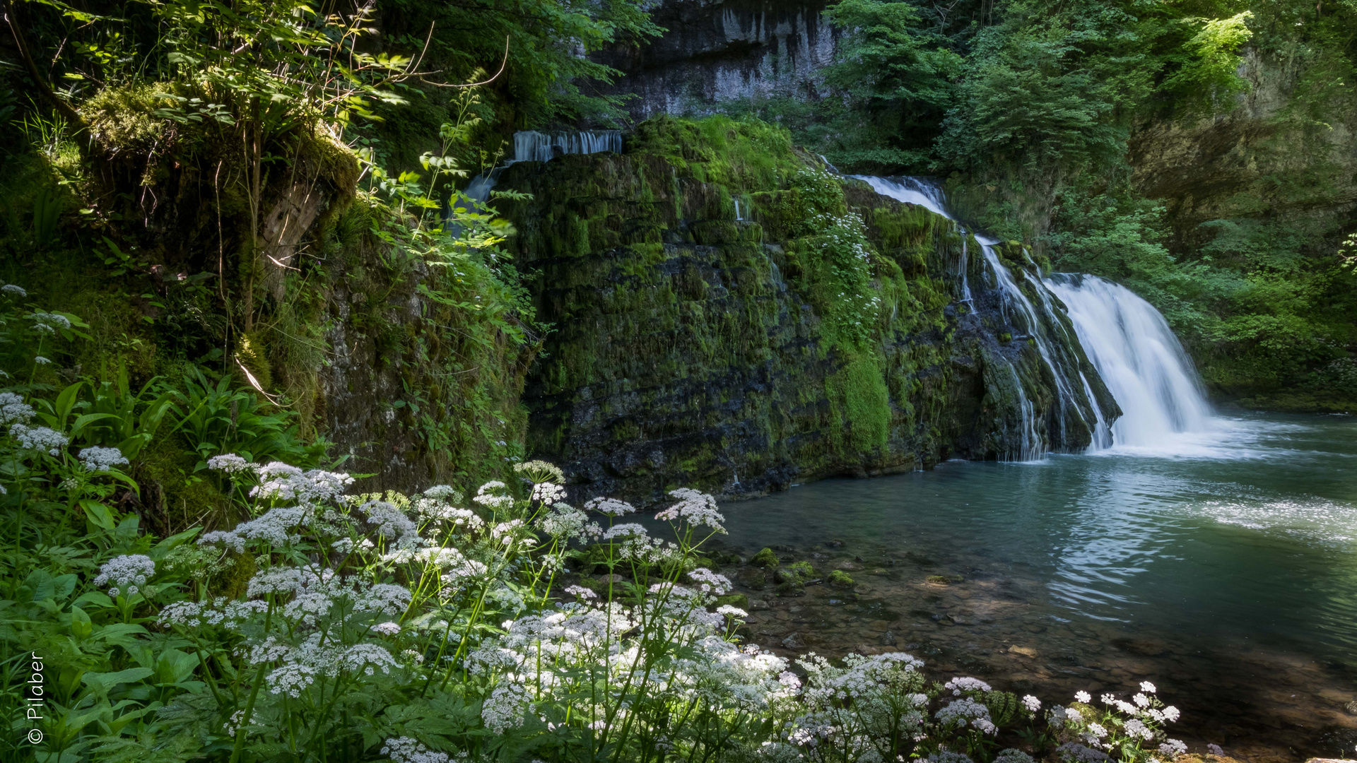 La source du Lison II