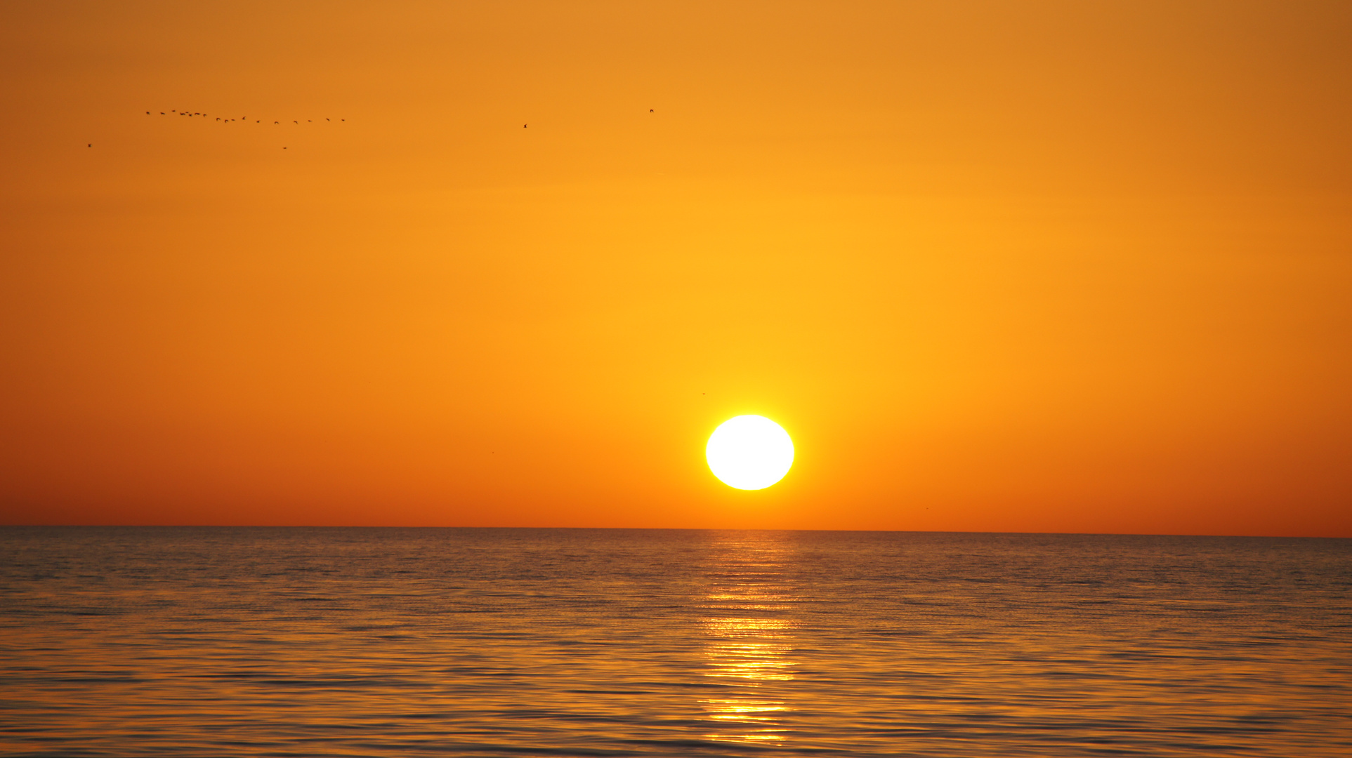 La Spiaggia .