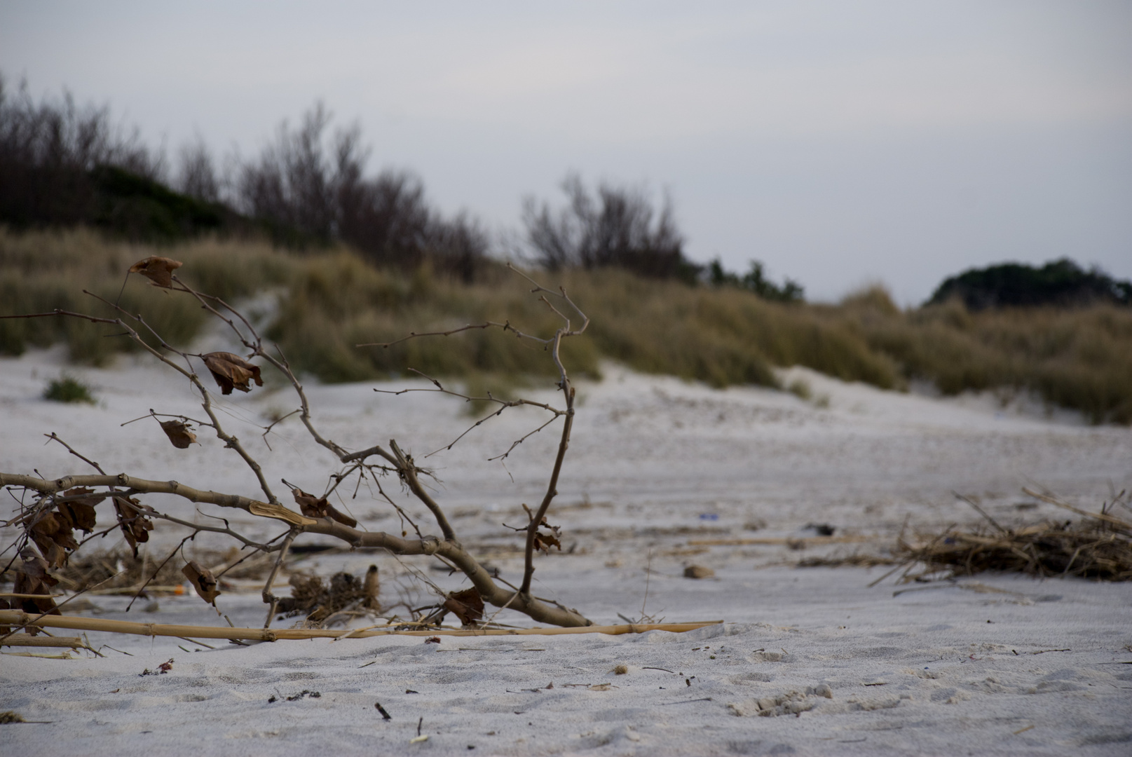 la spiaggia d'inverno