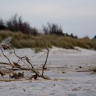 la spiaggia d'inverno