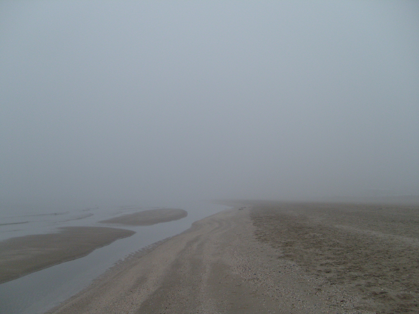 La spiaggia immersa nella nebbia