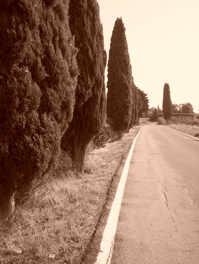 La splendida campagna toscana