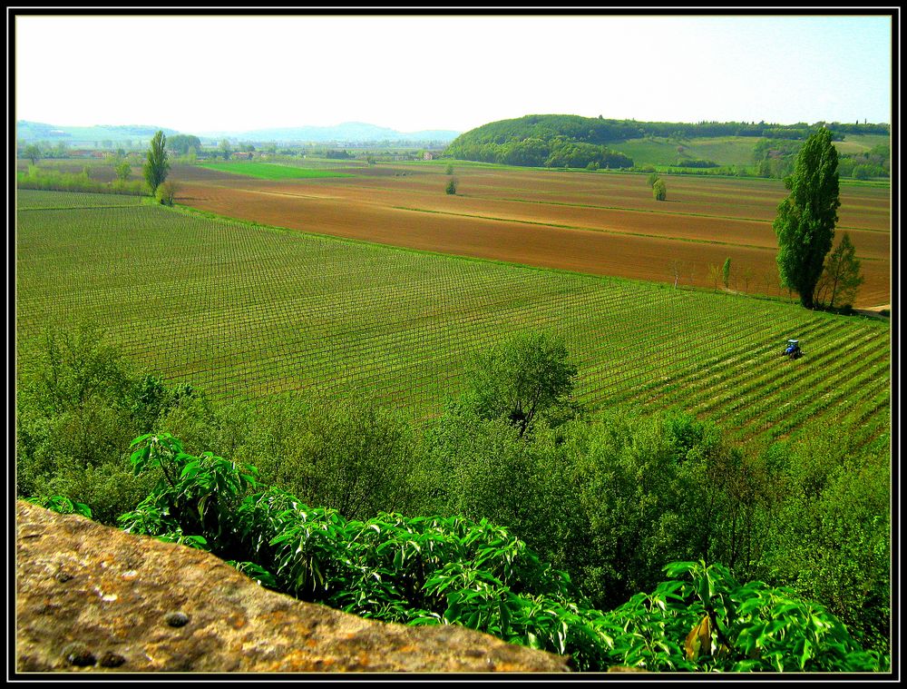 La splendida e serena campagna vicentina.....