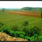 La splendida e serena campagna vicentina.....