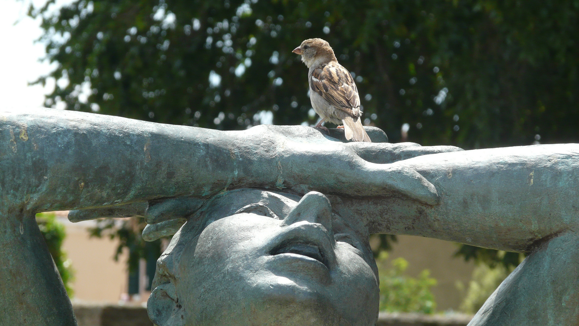 La statue et le moineau.