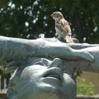 La statue et le moineau.