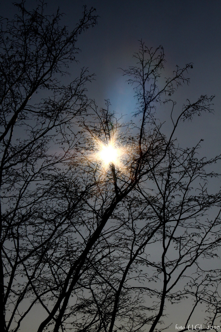 la stella del giorno ............