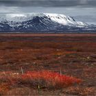 La steppe rouge