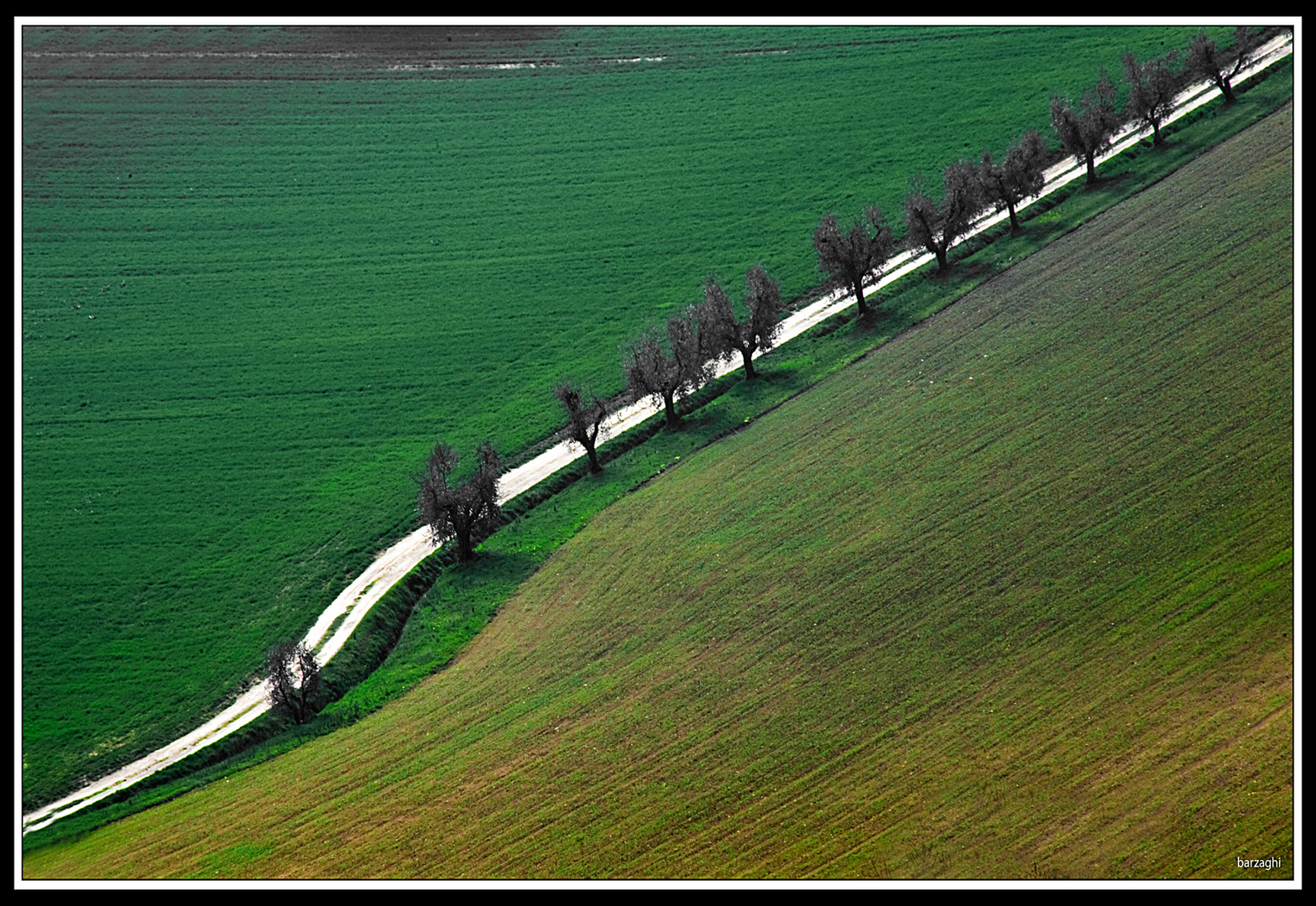 la strada