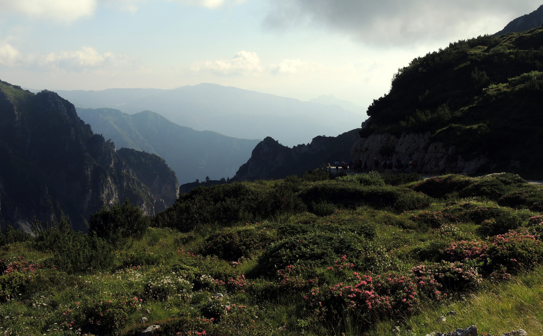 La strada degli Scarubbi