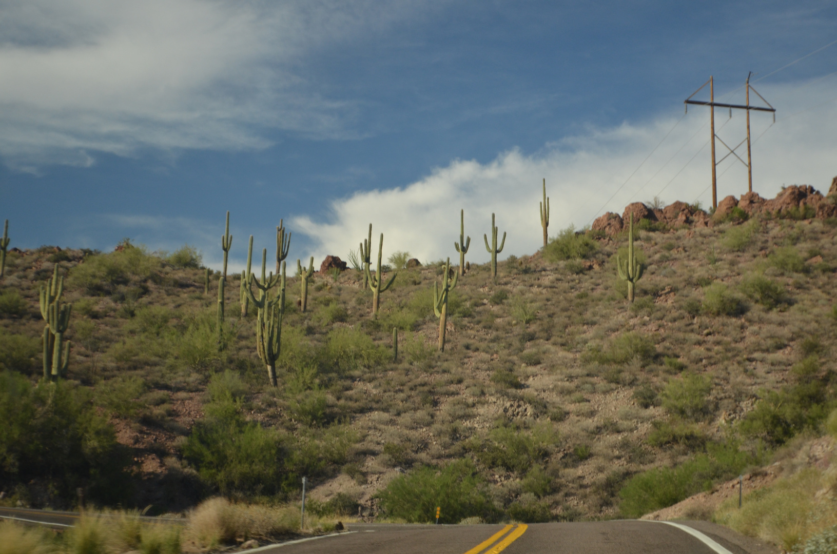 la strada dei cactus