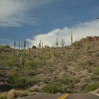 la strada dei cactus