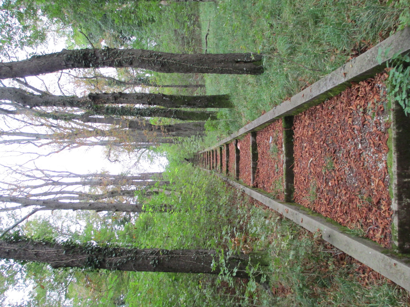 La strada è lunga.