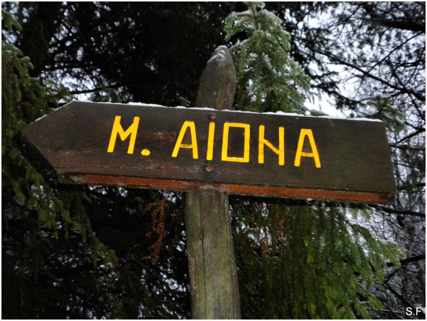 La strada per il M. Aiona.