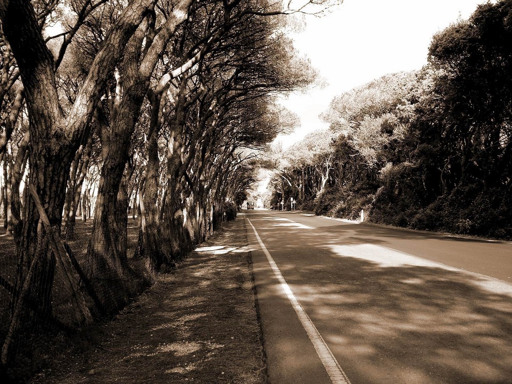 La strada per il mare