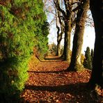 La strada stretta che conduce alla vita