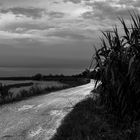 LA STRADA SULLA LAGUNA