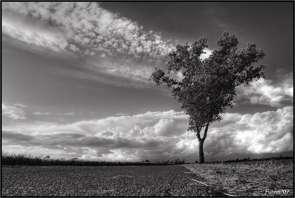 La strada vecchia (2)