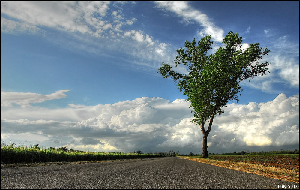 La strada vecchia