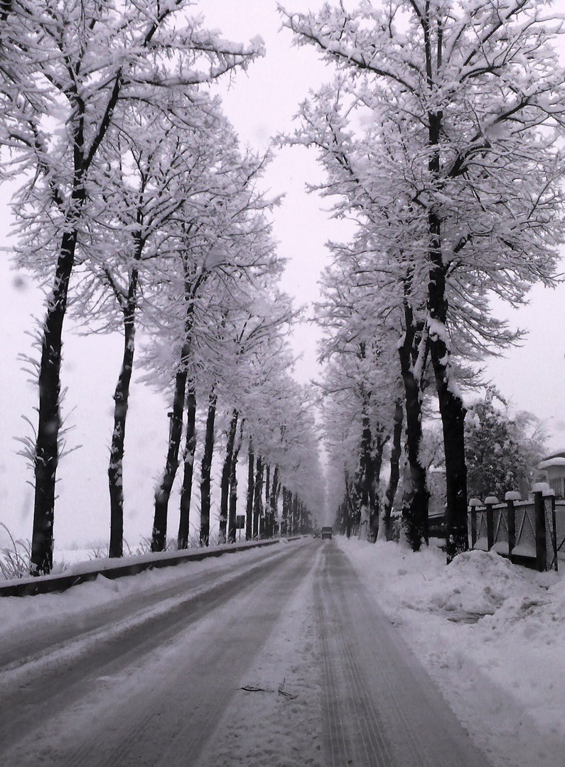 la strada verso casa