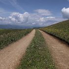 La strada verso il cielo