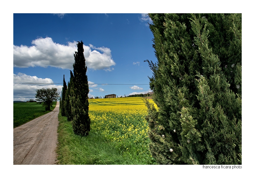 la strada...di casa...