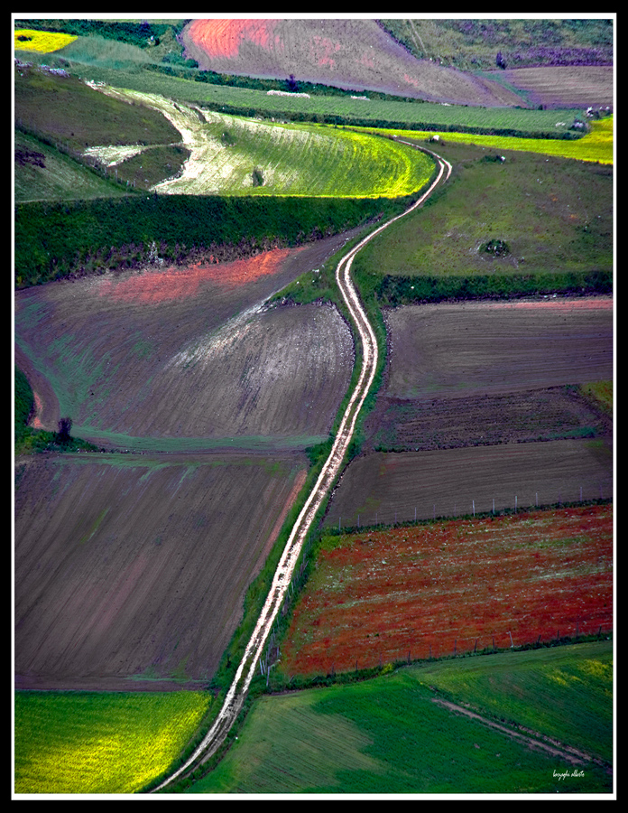 la stradina di campagna