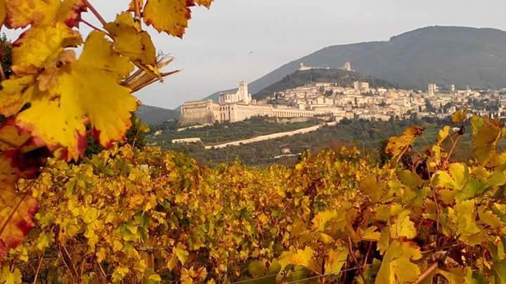 la stupenda assisi vista in autunno