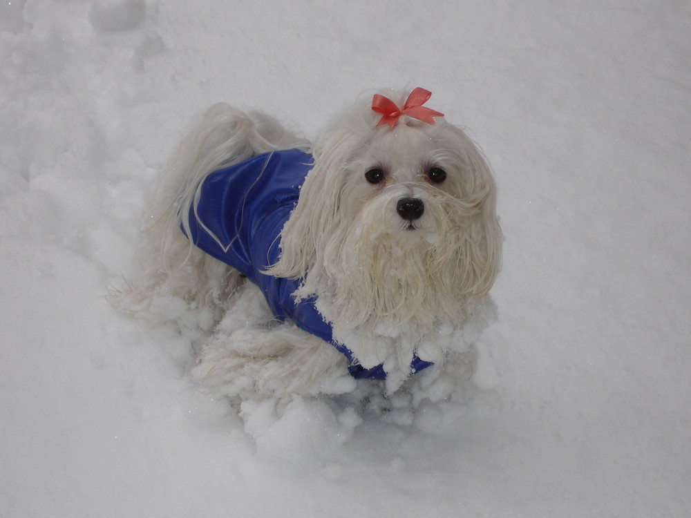 La sua prima volta nella neve